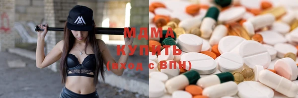 прущие грибы Вязники