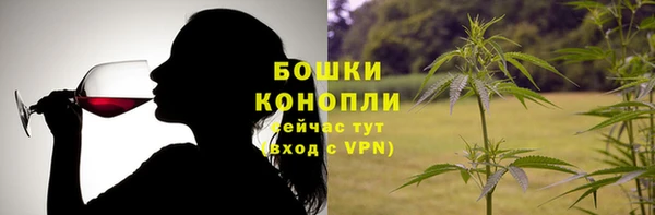 прущие грибы Вязники