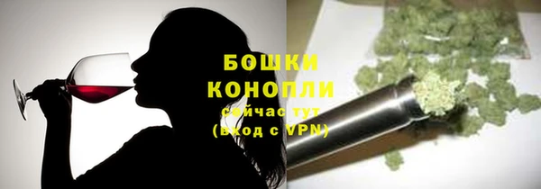 прущие грибы Вязники