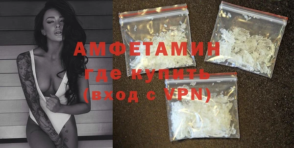 прущие грибы Вязники