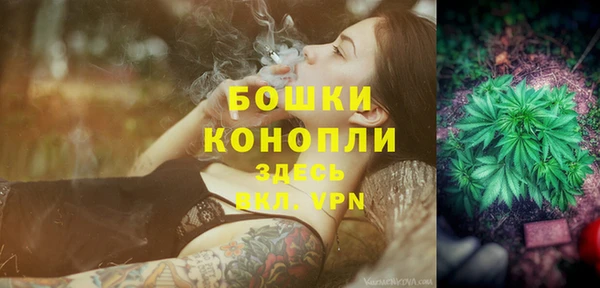 прущие грибы Вязники